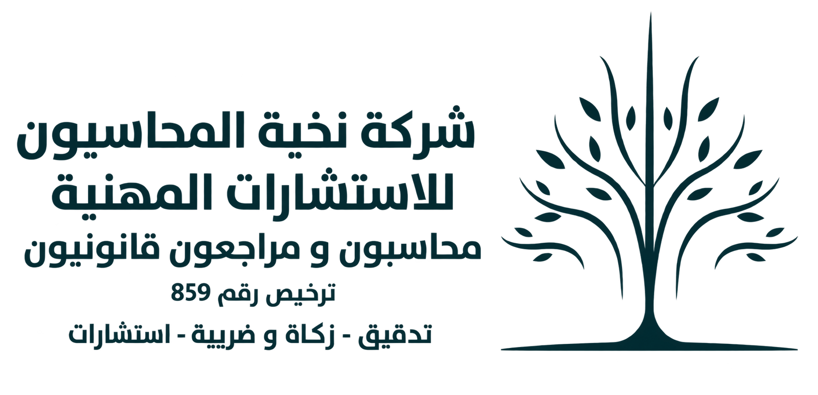 نخبة المحاسبون